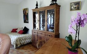 Maison de campagne au cœur d'un élevage de poneys connemara